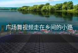 广场舞视频走在乡间的小路