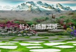 舒心广场舞减肥