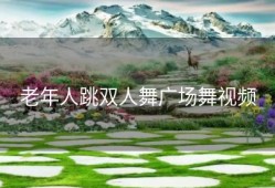 老年人跳双人舞广场舞视频