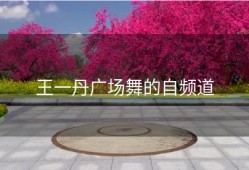 王一丹广场舞的自频道