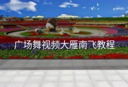 广场舞视频大雁南飞教程