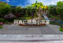 阿真广场舞小苹果