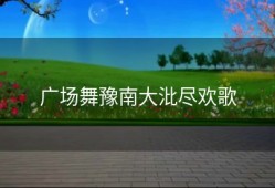 广场舞豫南大沘尽欢歌