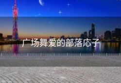 广场舞爱的部落応子