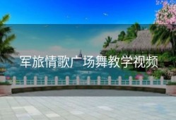 军旅情歌广场舞教学视频