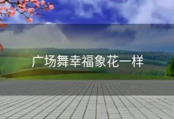 广场舞幸福象花一样