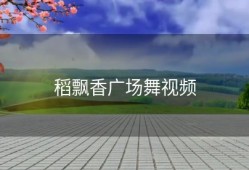 稻飘香广场舞视频