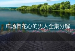 广场舞花心的男人全集分解