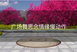 广场舞思念情缘慢动作