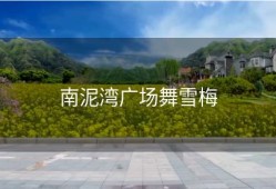 南泥湾广场舞雪梅