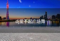 dj爱不起广场舞