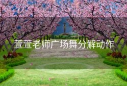 萱萱老师广场舞分解动作