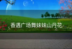 香遇广场舞妹妹山丹花