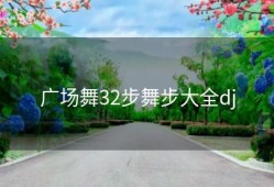 广场舞32步舞步大全dj