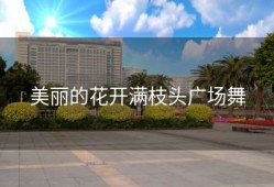 美丽的花开满枝头广场舞