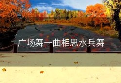 广场舞一曲相思水兵舞