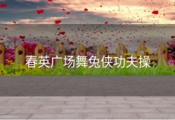 春英广场舞兔侠功夫操