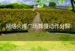 网络火爆广场舞慢动作分解