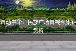 舞动中华：民族广场舞视频集锦赏析