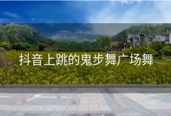 抖音上跳的鬼步舞广场舞