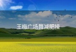 王梅广场舞减肥操