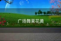 广场舞莱花黄