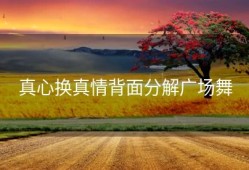 真心换真情背面分解广场舞