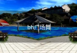 bh广场舞
