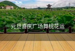 元旦喜庆广场舞桃花运