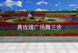 黄玫瑰广场舞三步