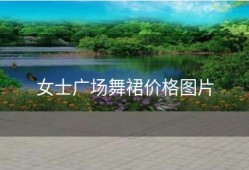 女士广场舞裙价格图片