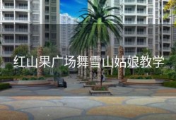 红山果广场舞雪山姑娘教学