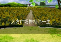 大方广场舞相伴一生