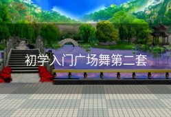 初学入门广场舞第二套