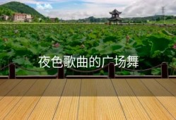 夜色歌曲的广场舞