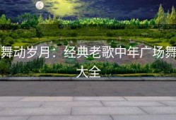 舞动岁月：经典老歌中年广场舞大全