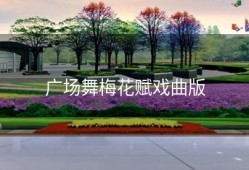 广场舞梅花赋戏曲版