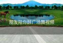 朋友陪你醉广场舞视频