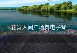 花舞人间广场舞电子琴