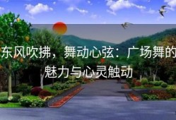 东风吹拂，舞动心弦：广场舞的魅力与心灵触动