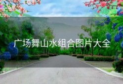 广场舞山水组合图片大全