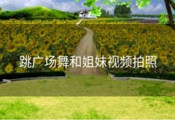 跳广场舞和姐妹视频拍照