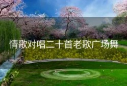 情歌对唱二十首老歌广场舞