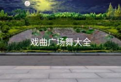 戏曲广场舞大全