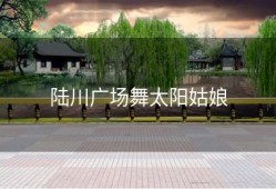 陆川广场舞太阳姑娘