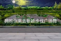 拥抱你离去新颖步伐广场舞