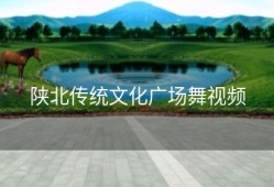 陕北传统文化广场舞视频