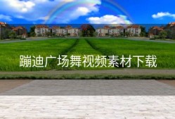 蹦迪广场舞视频素材下载