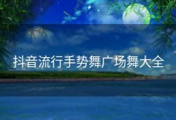 抖音流行手势舞广场舞大全