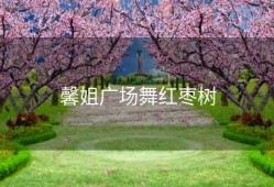 馨姐广场舞红枣树